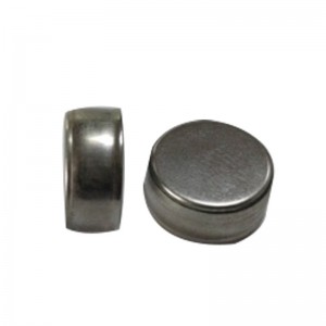 Výrobce baterií TWS Sluchátko Speciální polymer Lithium baterie LR1254 Tlačítko baterie Profesionální přizpůsobení