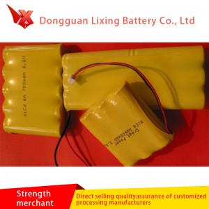 Velký počet speciálních baterií pro vlasový puller NICD400 2.4V č. 5 Kombinovaná baterie 2.4V přizpůsobené výrobci