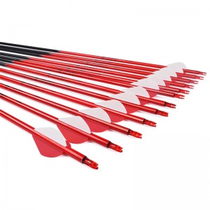 Elongarrow 115538 30 \\\\ \\\