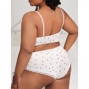 2022 Lenceria módní transparentní krajka bralette sada vidět přes duté ven horké sexy ženy spodní prádlo