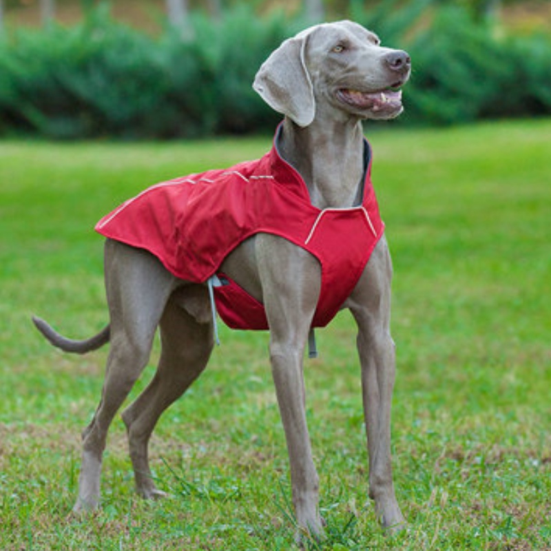 Klasický styl reflexní pes kabát vodotěsnýnastavitelný zimní pes bunda reverzibilní lehký