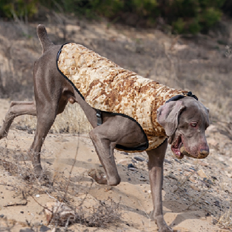 Amazon horké prodejnové pet oblečení psí oblečení podzim a zimní zesílený elastický svetr pet svetr