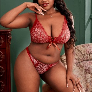 Kontrast lase podprsenka Nastavit sexy spodní prádlo s kravatou předního lana