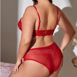 Sexy postroje květinové krajkové spodní prádlo Set Sexy Nightwear