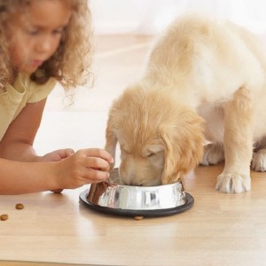 2022 Amazon Hot Sale Židle Mat pro ochranu z tvrdého dřeva Transparentní PP Kancelářská židle Mat