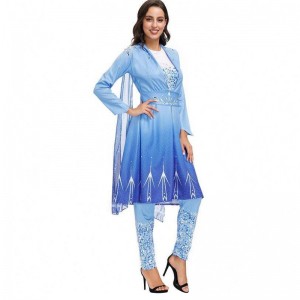 2022 Nové příjezdy Dospělé sněhové královna Elsa Cosplay Halloween Costume Women HCGD-055