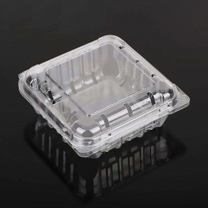 125g Velkoobchodní průhledná megová střela borůvka Blueberry Clamshell Balení ovocných kontejneru ovoce