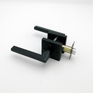 S7503 Dveřena soukromí pro ložnici a dveře koupelny matné černé