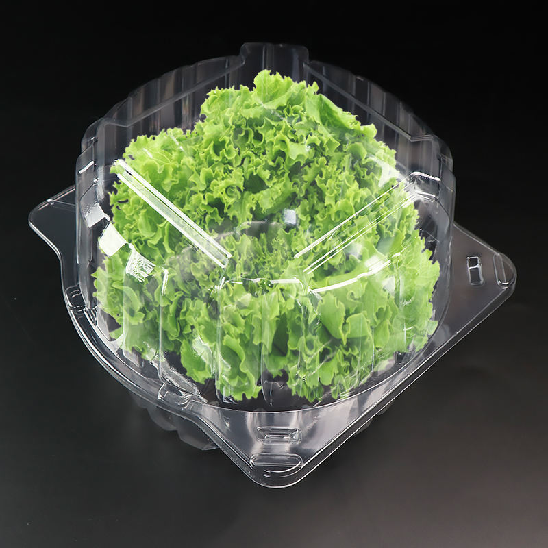 Transparentní RPETnebo PET Chamshell Blister Container pro 1 libru salátového salátu listového balení
