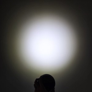 WHECH LED WORKE LIGHT 10827