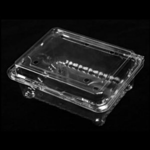 Ovocná krabička s víkem 175*137*75 mm HGF-500M