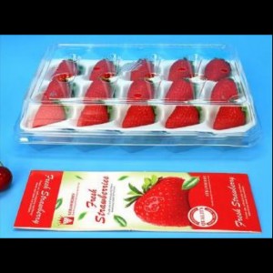 Strawberry Box (15 jahod) 225*120*40 mm cm-15