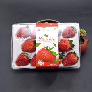 Strawberry Box (11 jahod) 225*120*40 mm cm-11