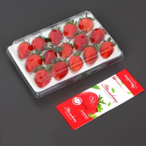 Strawberry Box (15 jahod) 225*120*40 mm cm-15