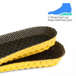 Eva pěnová stélka