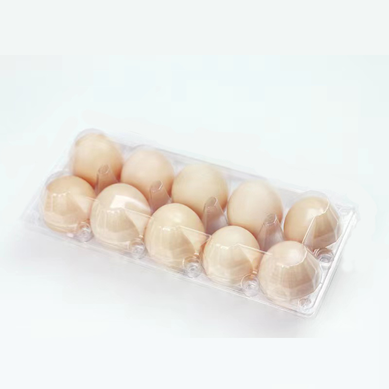 Egg zásobník (střední) 240*100*63 mm 10 drážky