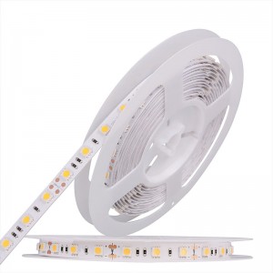 5050 60leds/m LED pás