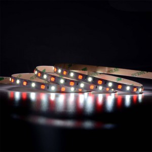 5050 60leds/m rgbw LED pás