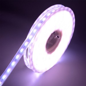 5050 60leds/m wrgbww LED pás
