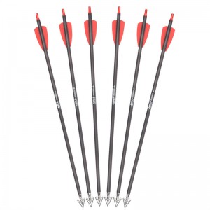 15 palců Rx Crossbow Bolts s brodimicemi znerezové oceli