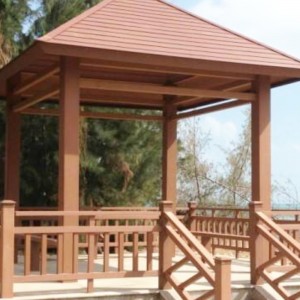 PE dřevěná plíseň z plastu