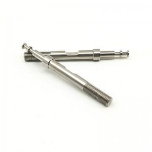 CNC obrábění tvarovaných dlouhých šroubů Lékařské díly Nestandardní části přizpůsobené přesné zpracování hřídele