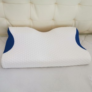 Návrh motýla pro polštářna boční paměť