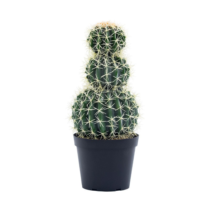 Vysoce kvalitnína vlastní dekorativní velké velikosti Faux Cactus Artificial Cactus Rostliny