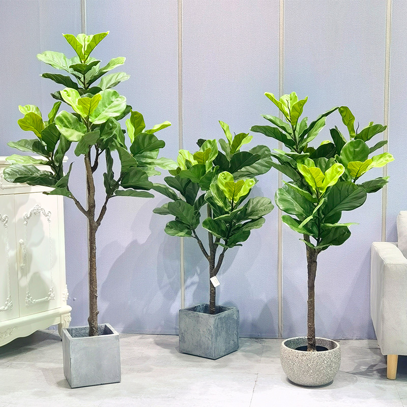 Vděčnost Unleashed: odhalení vynikajícího umělého plastového ficus bonsai stromy!
