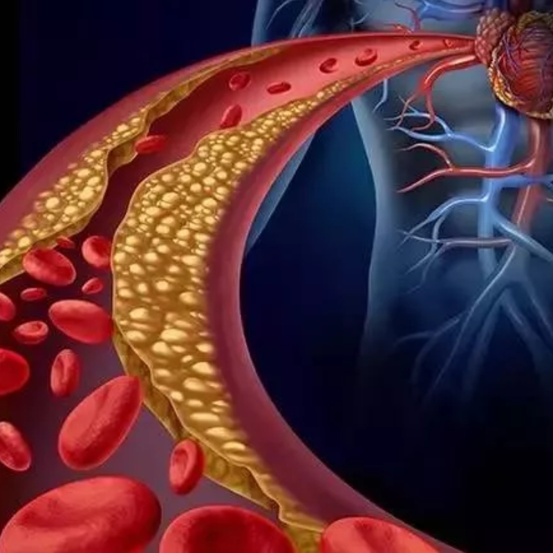 Japonsko University: NMN má potenciál zmírnit arteriální tuhost
