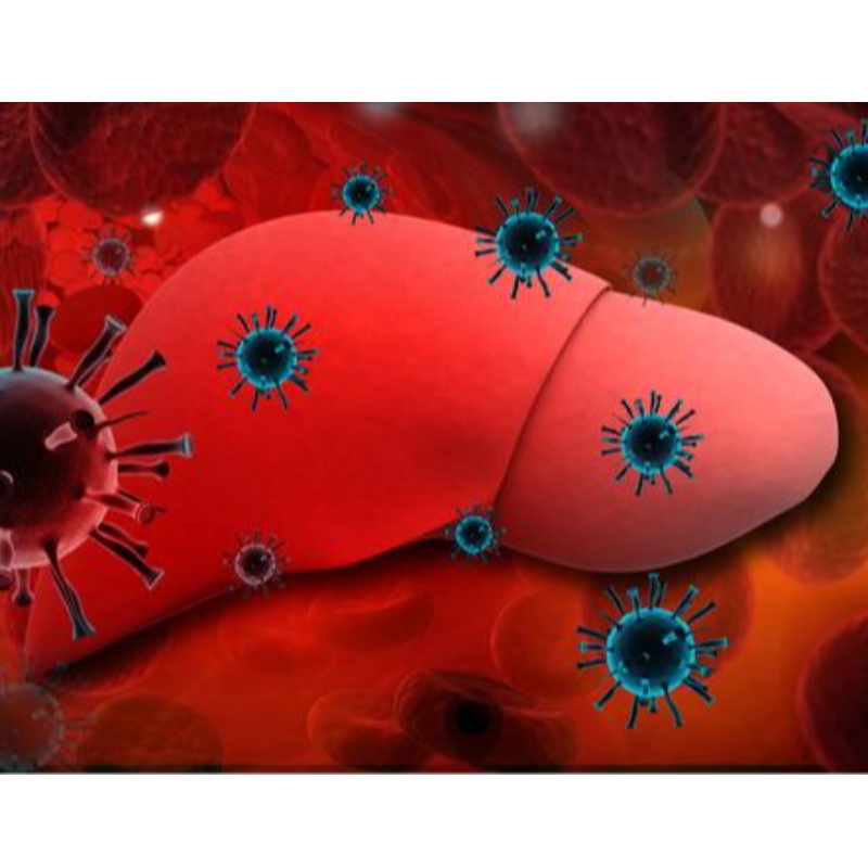 University of Parma: NMN zlepšuje chronickou hepatitidu B
