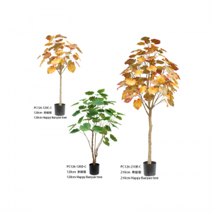 Šťastný banyánový strom