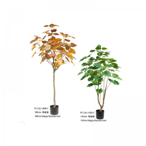 Šťastný banyánový strom