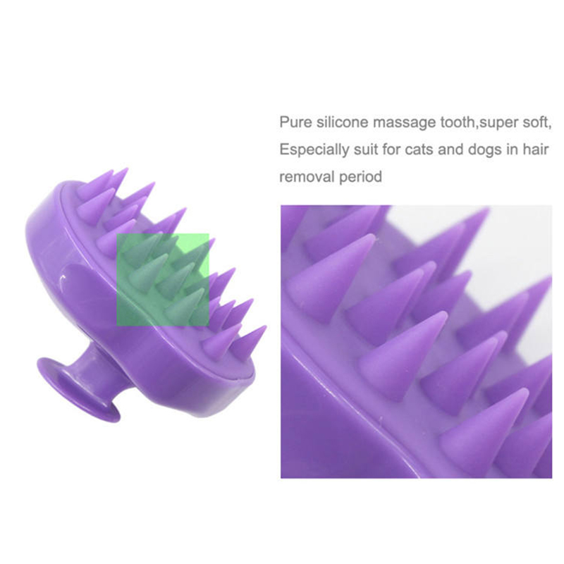 1642492484.jpg 8.jpg